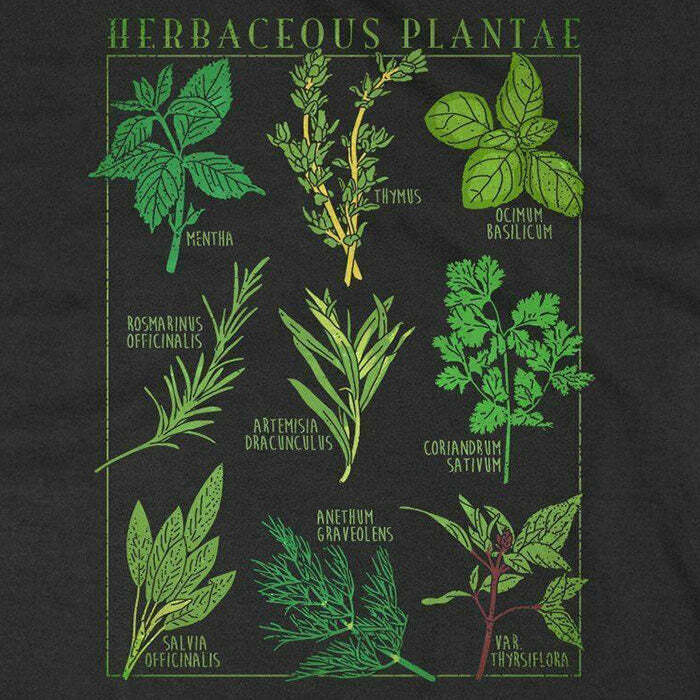 Herbaceous Plantae Y2K Fashion T-Shirt - Trendy 2000s Style Tee